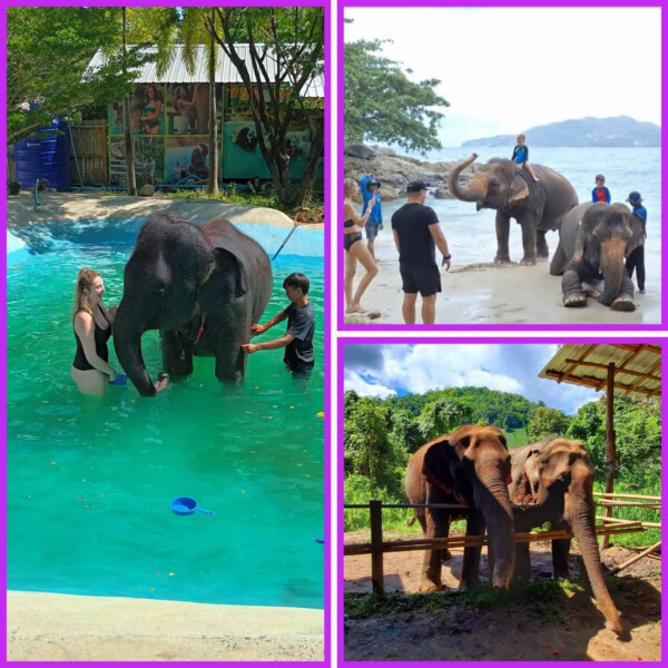 bear29taxiphuket.com Taxi and Tours Phuket (6)